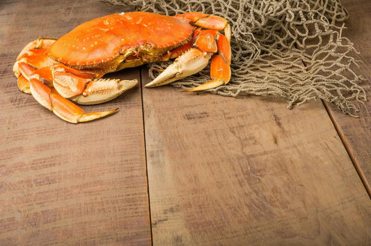Overview of Types of Crabs Around the United States