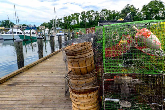 To Catch a Crab - Cameron's Seafood