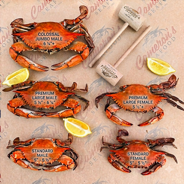 Steamed Maryland Blue Crabs