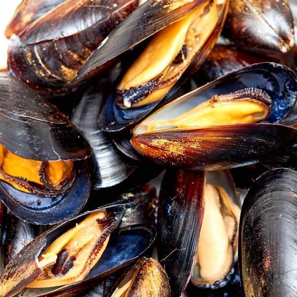 Mussels - Cameron's Seafood