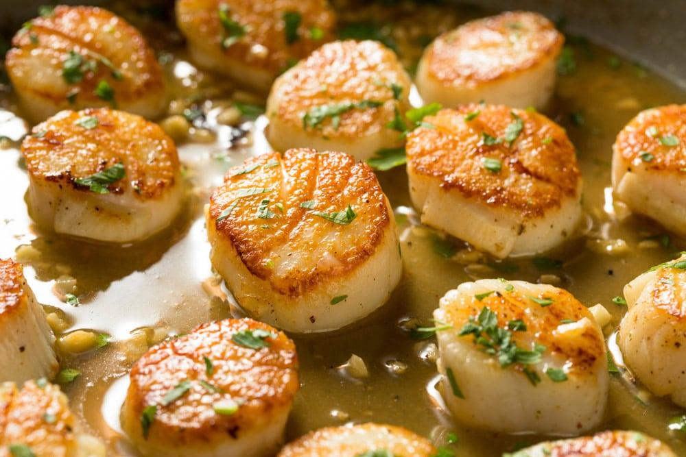 Butter Baked Parmesan Scallops - Cameron's Seafood