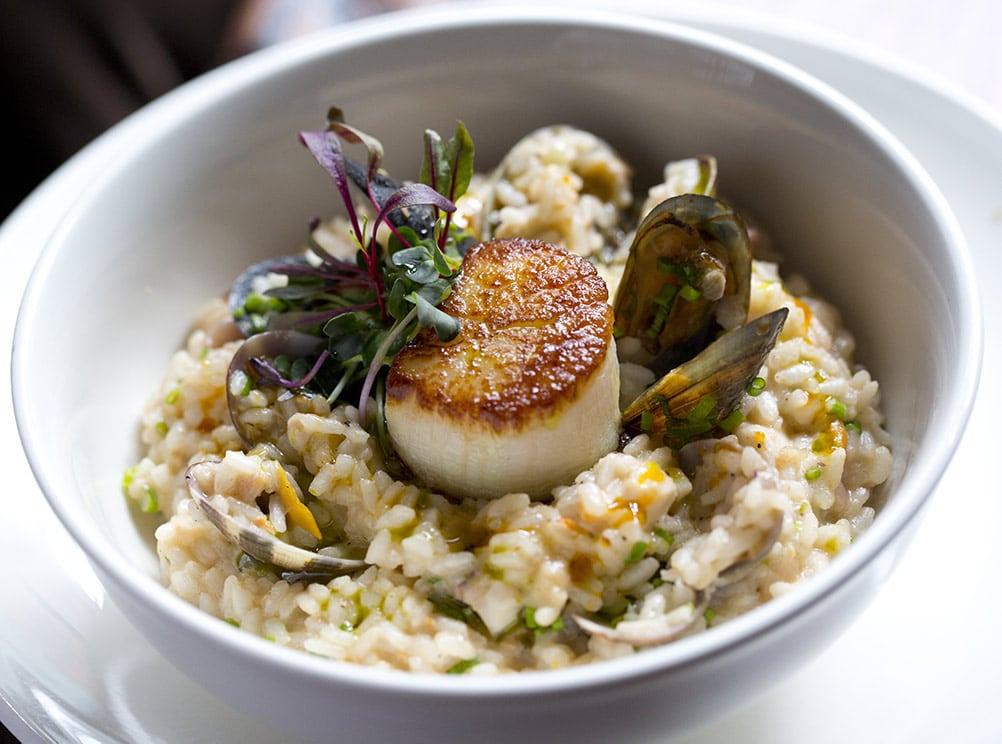 Healthy Seafood Recipe: Low Carb Tuscan Scallops with Cauliflower Risotto - Cameron's Seafood