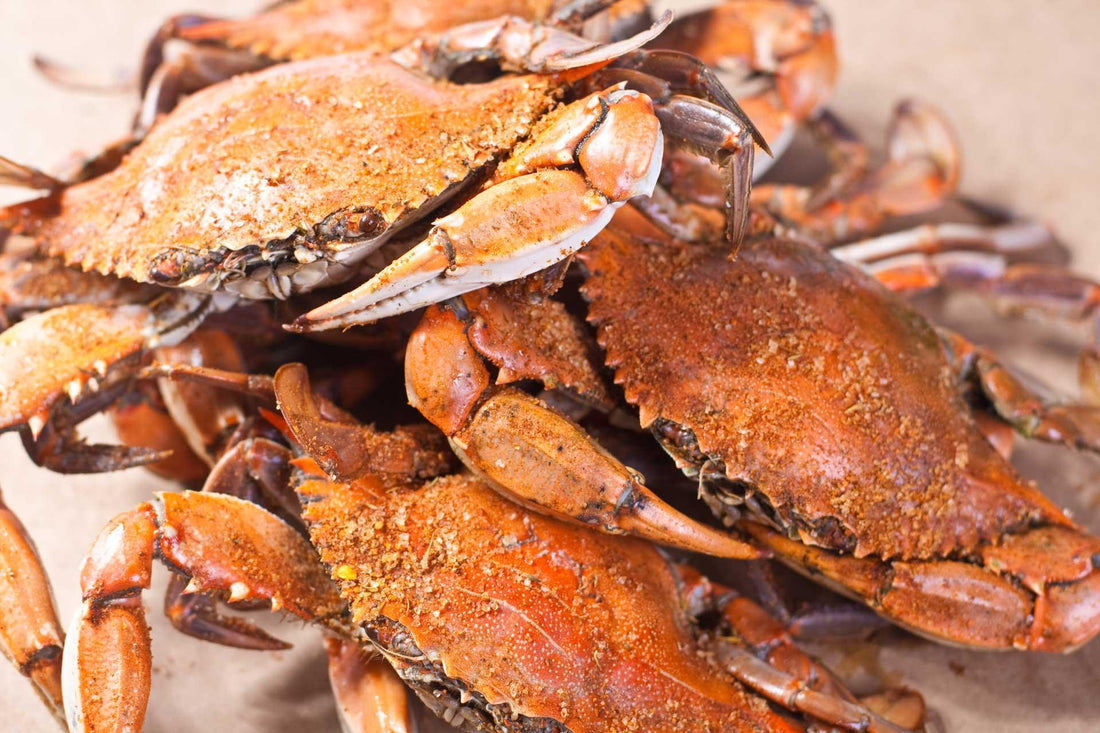 Maryland Crab vs. Carolina Crab vs. Louisiana Crab - Cameron's Seafood
