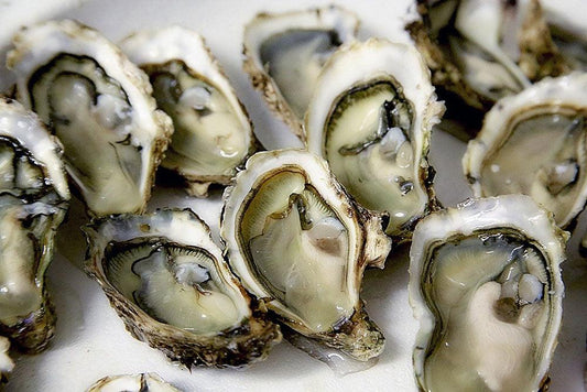 All About Oysters