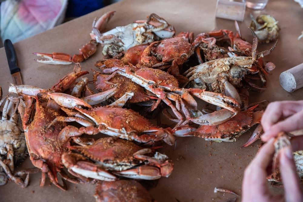 Blue Crab Sizes and Measurements Size Chart & Names Cameron's Seafood