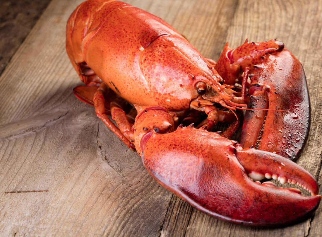 All the Ways to Prepare Lobster