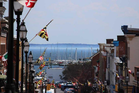 Maryland, My Maryland Seafood Tricks and Tips from the Old Line State