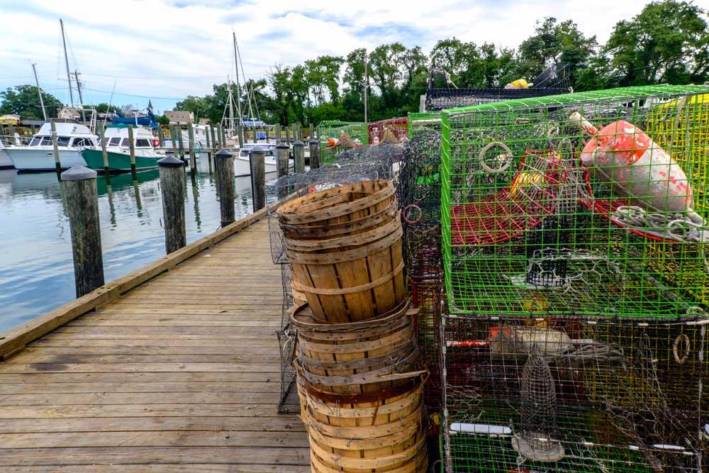 To Catch a Crab - Cameron's Seafood