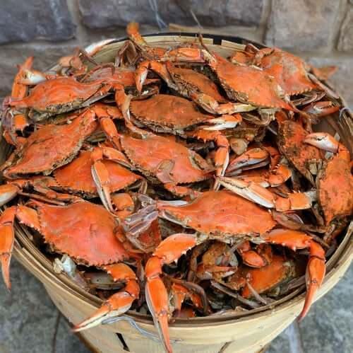 Standard Male Maryland Crabs - Cameron's Seafood