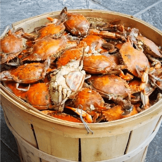 Standard Female Maryland Crabs - Cameron's Seafood