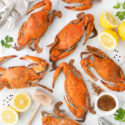 Steamed Maryland Blue Crabs
