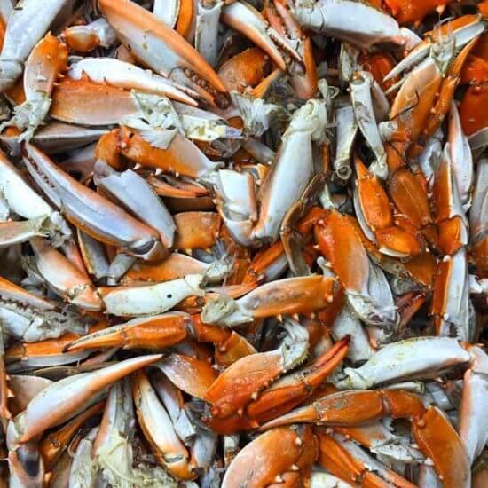 Maryland Blue Crab Claws - Cameron's Seafood