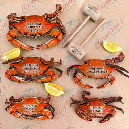 Steamed Maryland Blue Crabs
