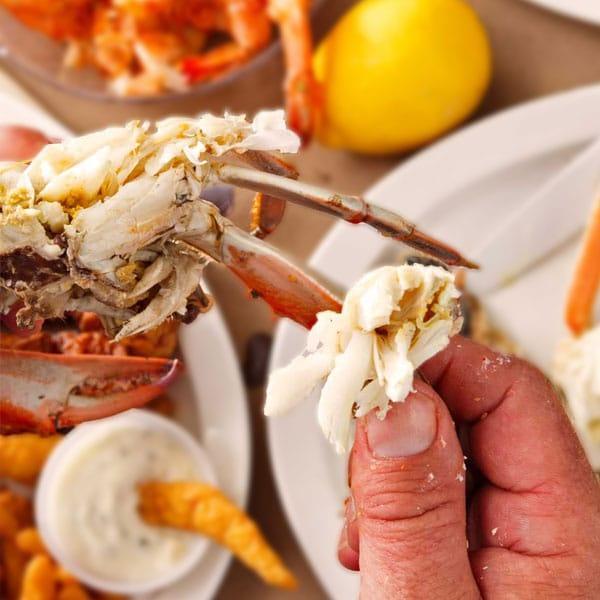 dressed colossal blue crab Colossal Male Hard Crabs