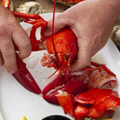 Steamed Lobsters - Cameron's Seafood