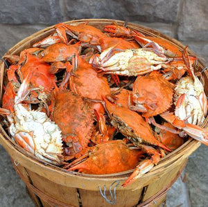 Premium Large Female Maryland Crabs - Cameron's Seafood