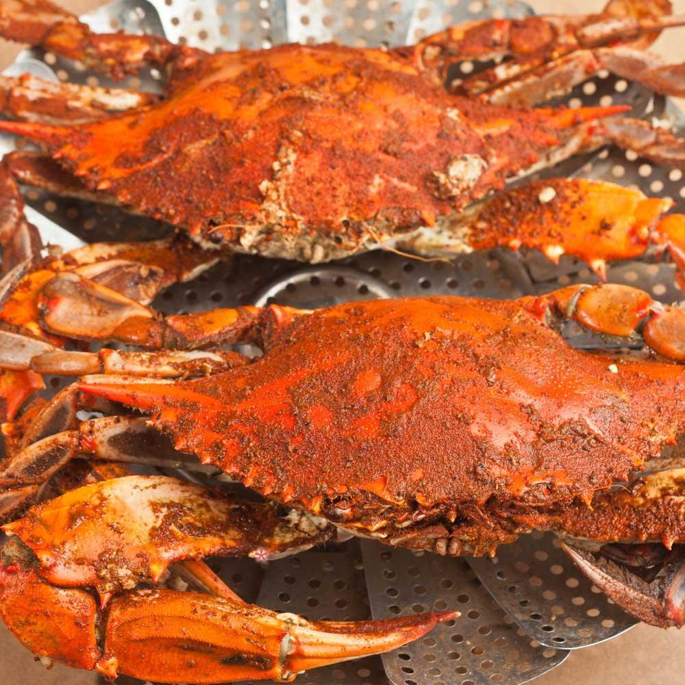 Colossal Jumbo Male Maryland Crabs - Cameron's Seafood