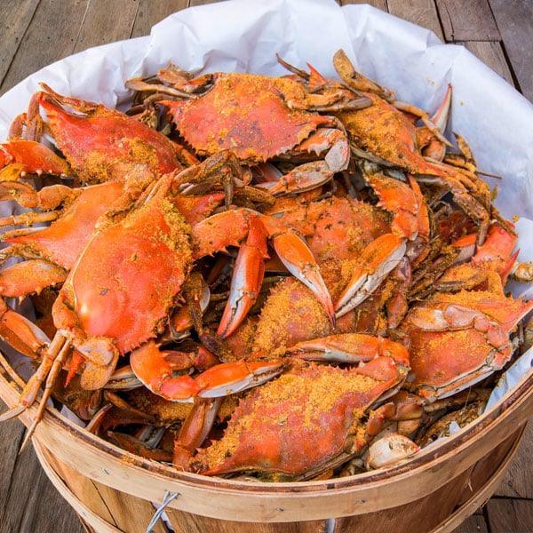 Premium Large Male Maryland Crabs - Cameron's Seafood