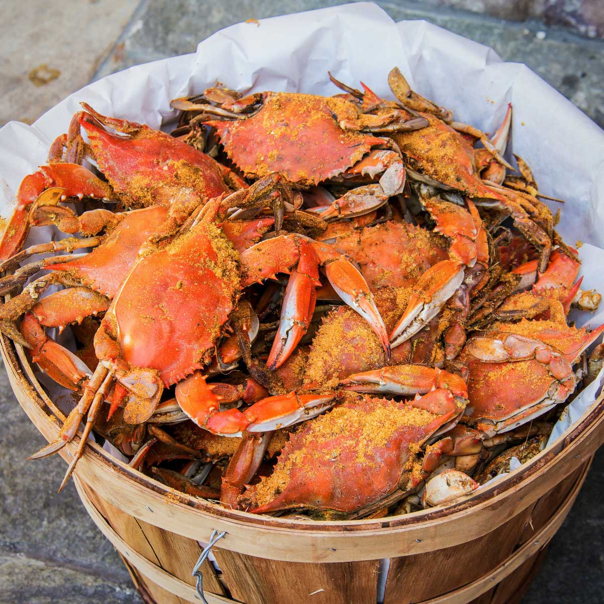 Steamed Maryland Blue Crabs — Male & Female, by the Bushel or Dozen – Cameron's Seafood