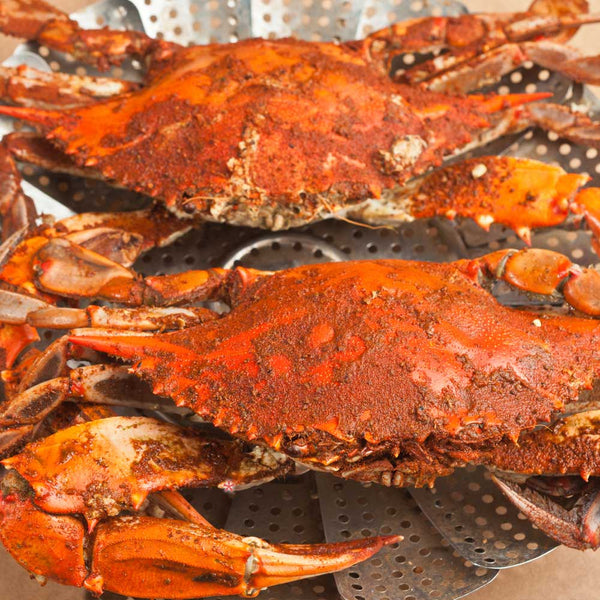 Steamed Maryland Blue Crabs — Male & Female, by the Bushel or Dozen
