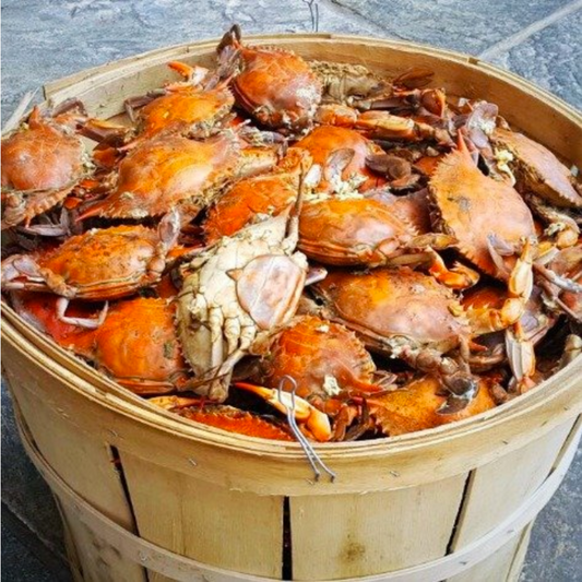 Standard Female Maryland Crabs