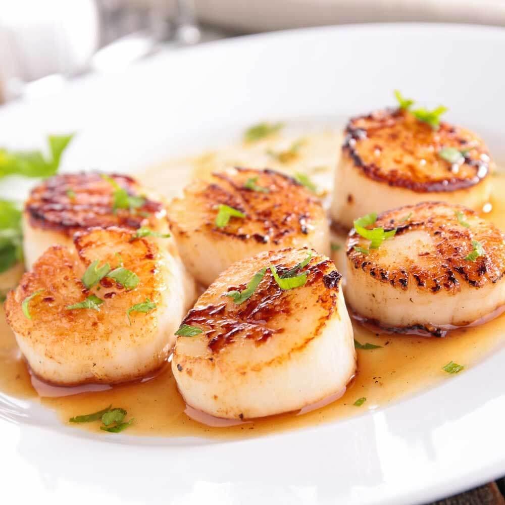 Sea Scallops - Cameron's Seafood