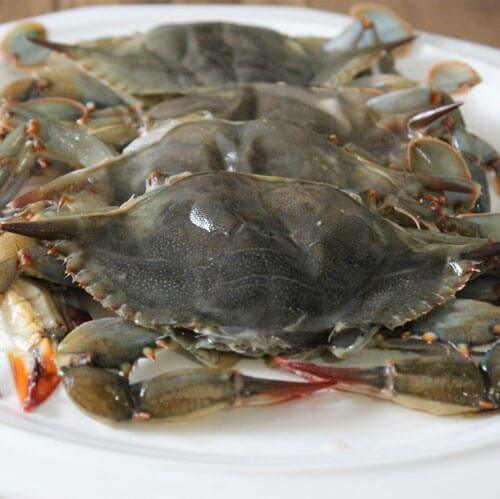 Maryland Soft Shell Crabs - 2 pack - Cameron's Seafood