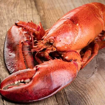 Steamed Lobsters - Cameron's Seafood