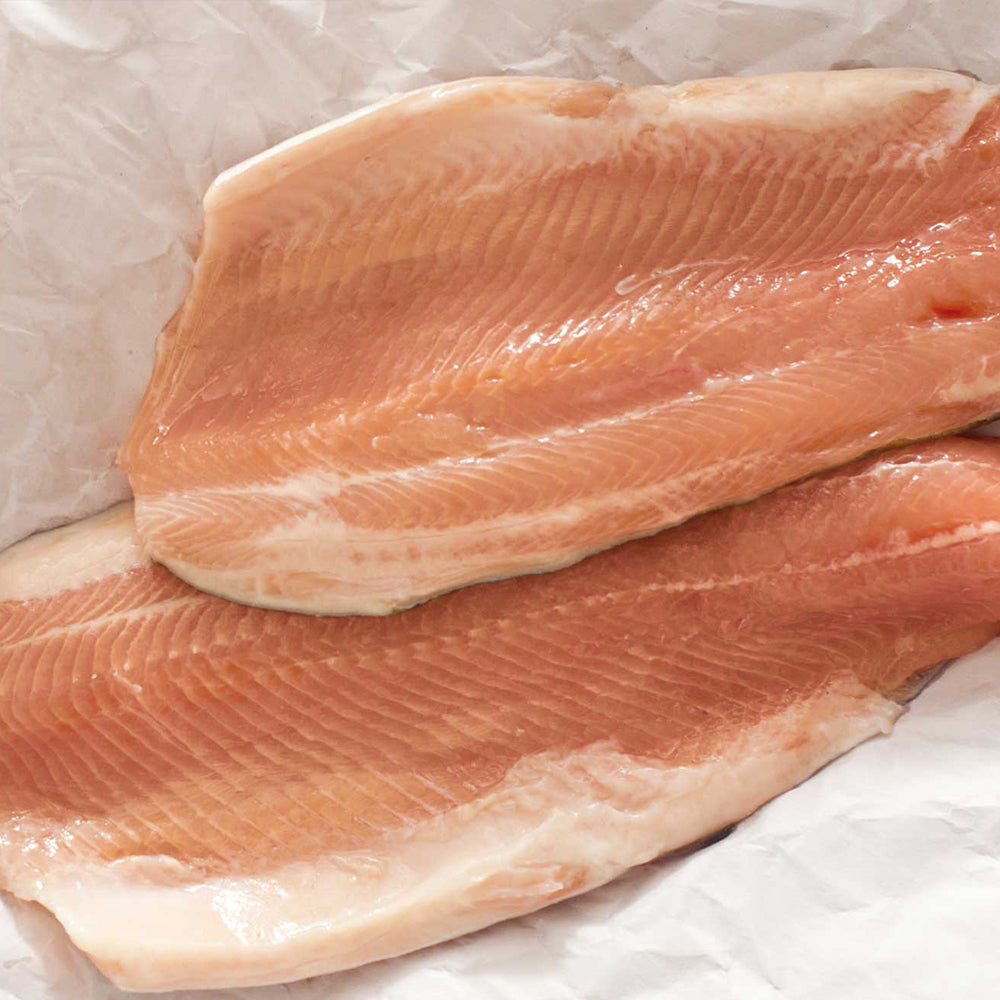 Rainbow Trout