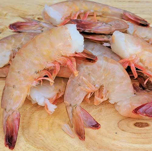 fresh shrimp