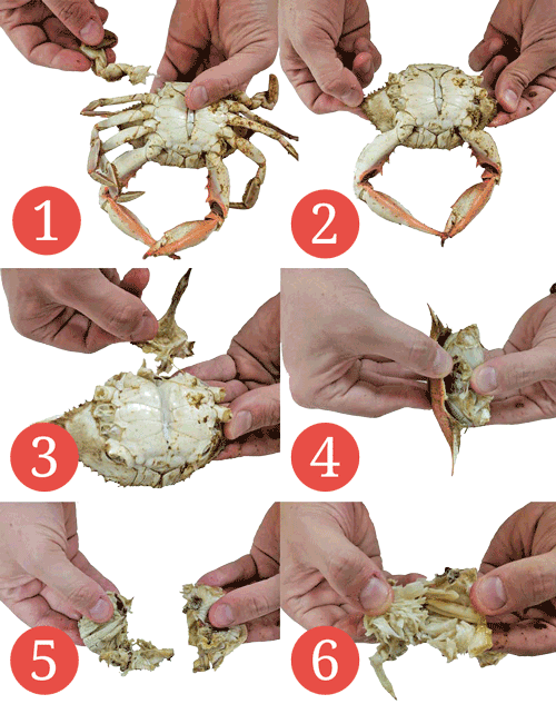 How To Eat Maryland Blue Crabs | How Do You Eat Blue Crabs