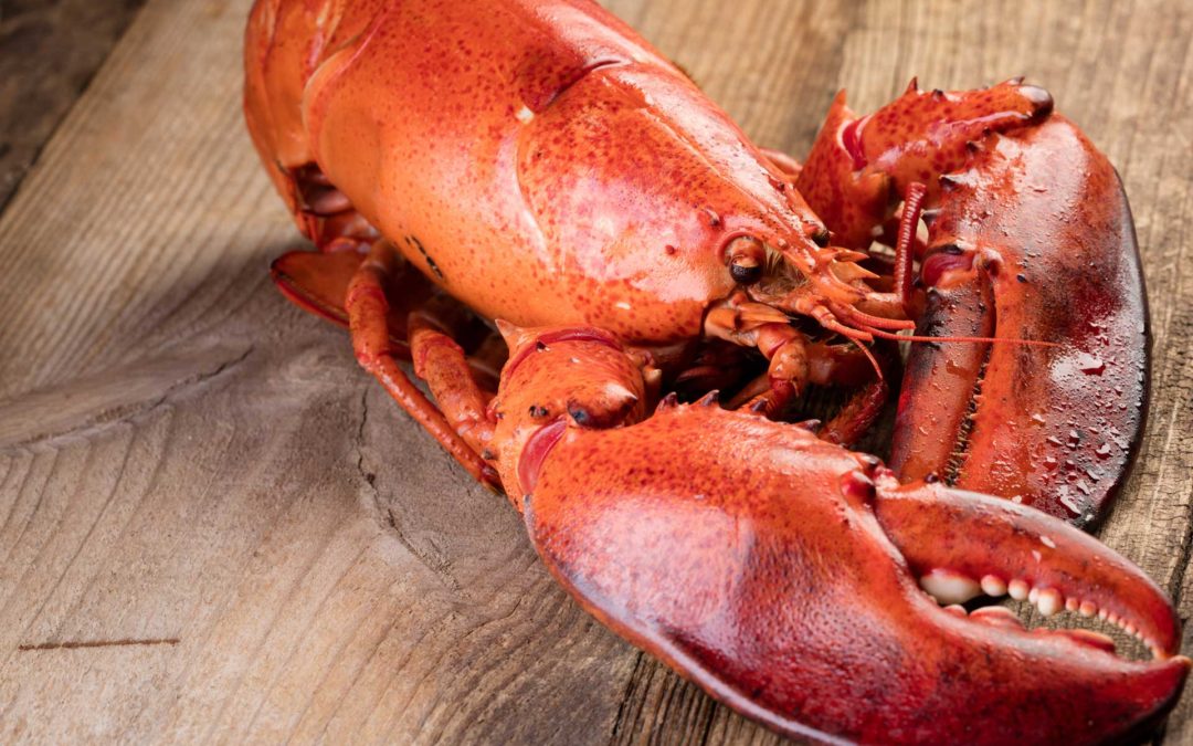 All the Ways to Prepare Lobster