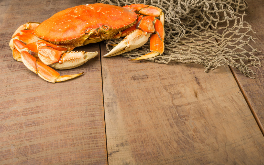 Overview of Types of Crabs Around the United States