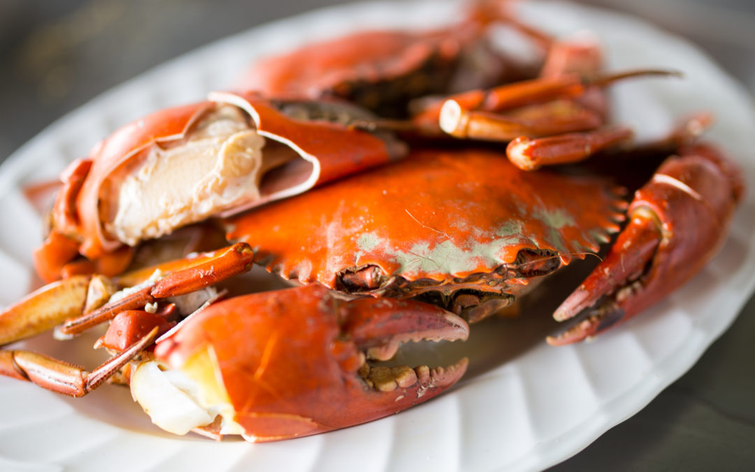 5 Must-Have Crab Utensils
