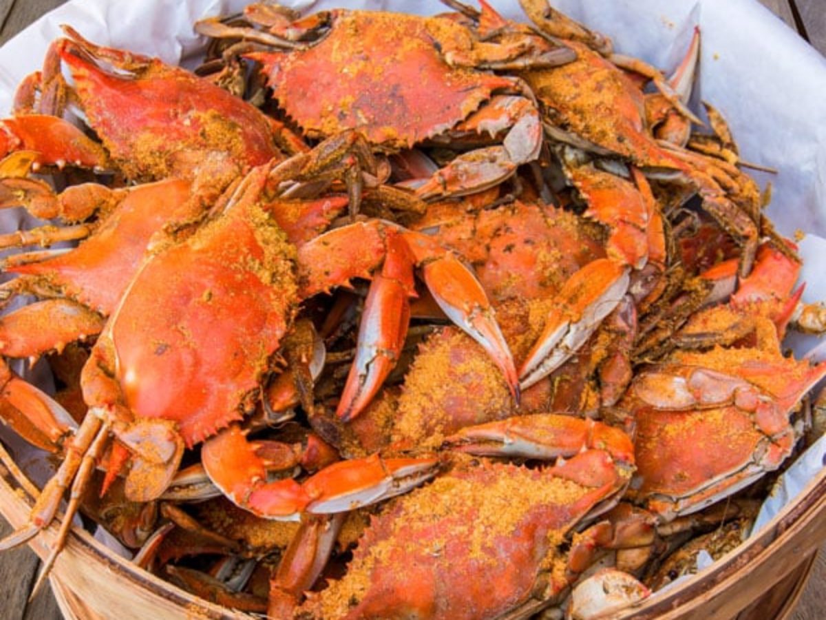 Large Male Maryland Blue Crabs Delivered