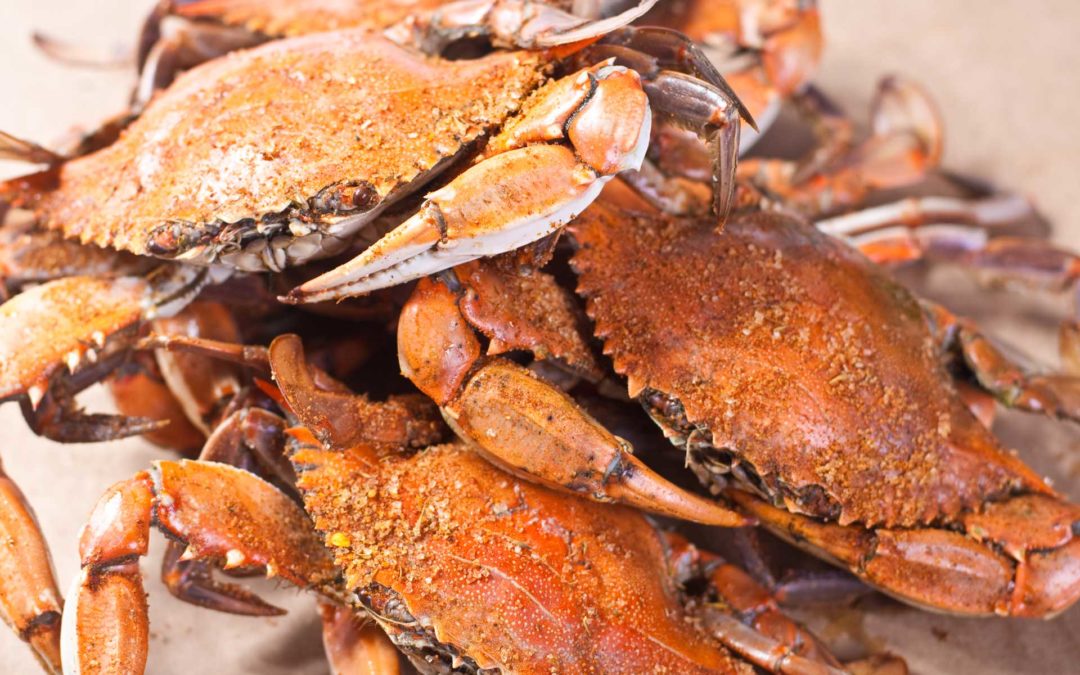 Maryland Crab vs. Carolina Crab vs. Louisiana Crab