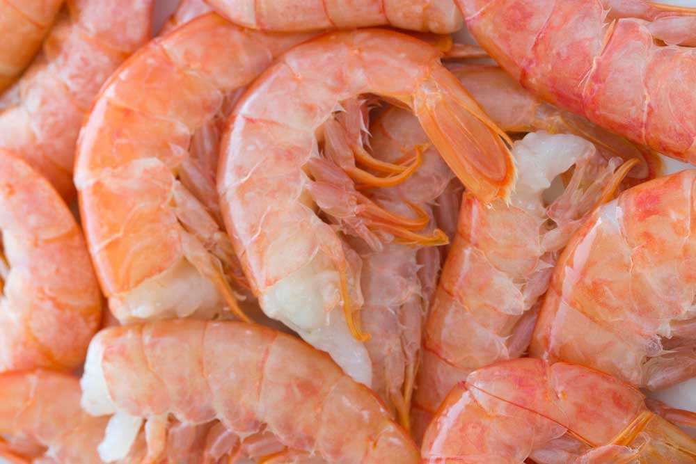 Making the Most out of your Seafood: Shrimp