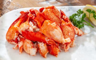 Our Favorite Spring Seafood: Lobster